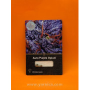 Auto Purple Opium (уп 6шт)
