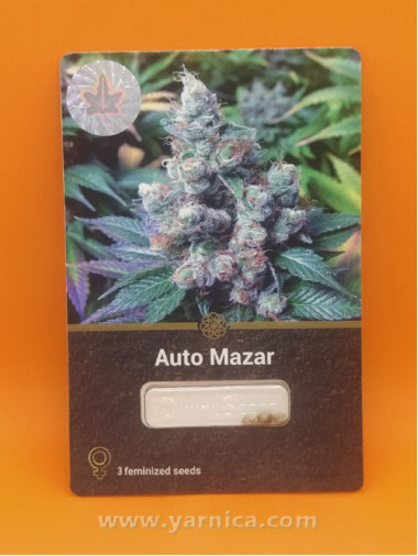 Auto Mazar (уп 3шт) Auto Mazar (уп 3шт)