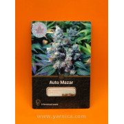 Auto Mazar (уп 6шт)