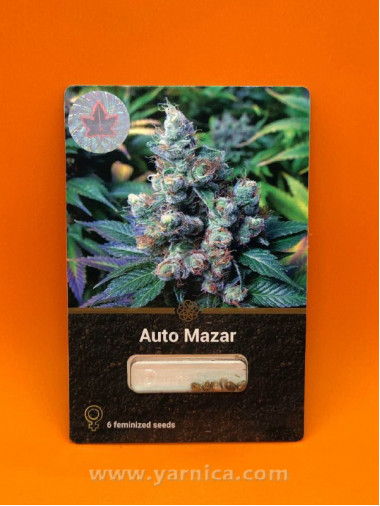 Auto Mazar (уп 6шт) Auto Mazar (уп 6шт)