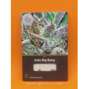 Auto Big Bang (уп 3шт)