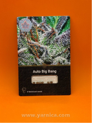 Auto Big Bang (уп 6шт) Auto Big Bang (уп 6шт)