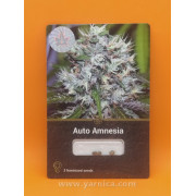 Auto Amnesia (уп 3шт)