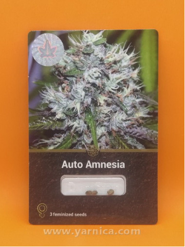 Auto Amnesia (уп 3шт) Auto Amnesia (уп 3шт)
