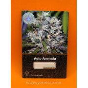 Auto Amnesia (уп 6шт)