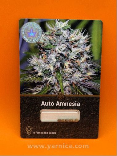 Auto Amnesia (уп 6шт) Auto Amnesia (уп 6шт)
