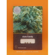 Auto Candy (уп 3шт)