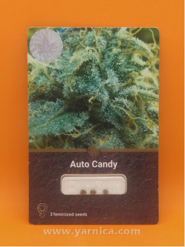 Auto Candy (уп 3шт) Auto Candy (уп 3шт)