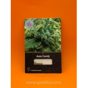 Auto Candy (уп 6шт)