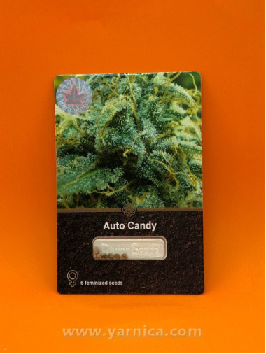 Auto Candy (уп 6шт) Auto Candy (уп 6шт)