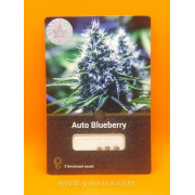 Auto Blueberry (уп 3шт)