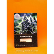 Auto Blueberry (уп 6шт)