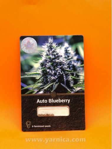 Auto Blueberry (уп 6шт) Auto Blueberry (уп 6шт)