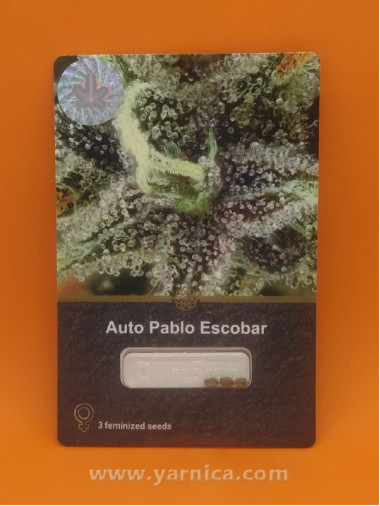 Auto Pablo Escobar (уп 3шт) Auto Pablo Escobar (уп 3шт)