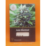 Auto Montreal (уп 3шт)