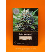 Auto Montreal (уп 6шт)
