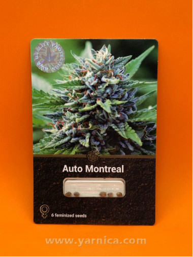 Auto Montreal (уп 6шт) Auto Montreal (уп 6шт)