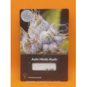 Auto Hindu Kush (уп 3шт)