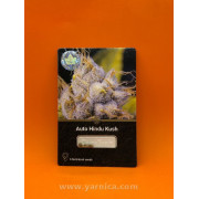 Auto Hindu Kush (уп 6шт)