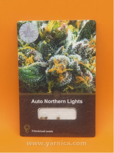 Auto Northern Lights (уп 3шт) Auto Northern Lights (уп 3шт)