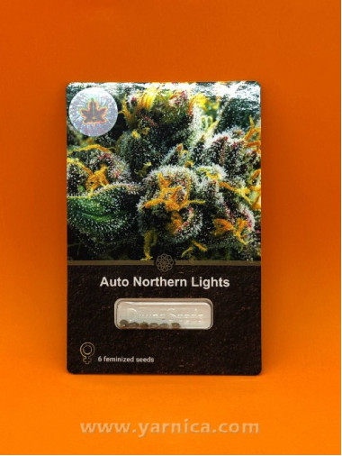 Auto Northern Lights (уп 6шт) Auto Northern Lights (уп 6шт)