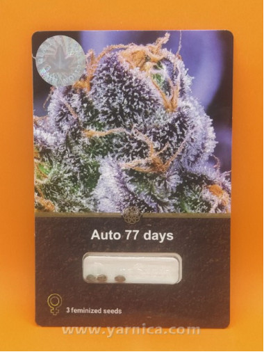 Auto 77 Days (уп 3шт) Auto 77 Days (уп 3шт)
