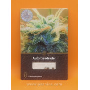 Auto Deadryder (уп 3шт)
