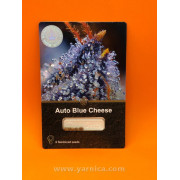 Auto Blue Cheese (уп 6шт)