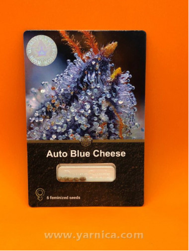 Auto Blue Cheese (уп 6шт) Auto Blue Cheese (уп 6шт)