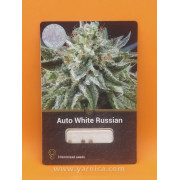 Auto White Russian (уп 3шт)