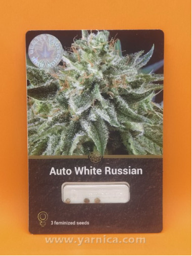 Auto White Russian (уп 3шт) Auto White Russian (уп 3шт)