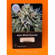 Auto White Russian (уп 6шт)