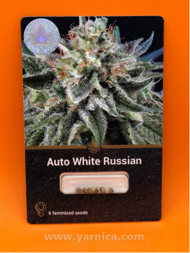 Auto White Russian (уп 6шт) Auto White Russian (уп 6шт)