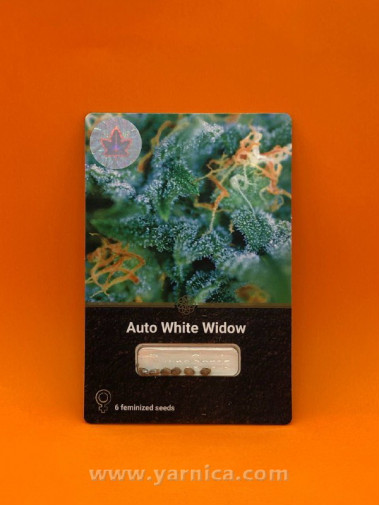 Auto White Widow (уп 6шт) Auto White Widow (уп 6шт)